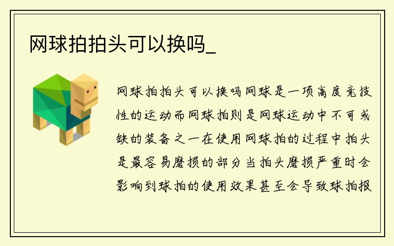 网球拍拍头可以换吗_