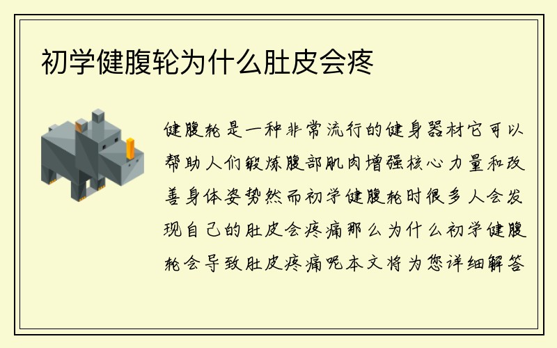 初学健腹轮为什么肚皮会疼