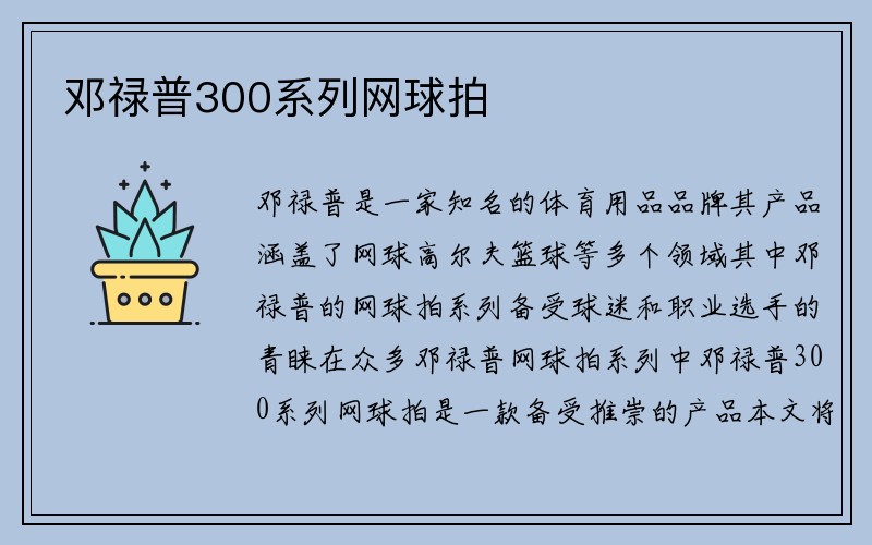 邓禄普300系列网球拍